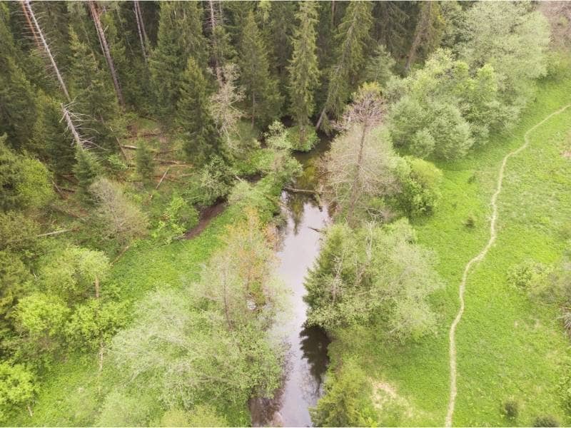Aerial view of a wooded property with a creek and natural drainage features evaluated before development